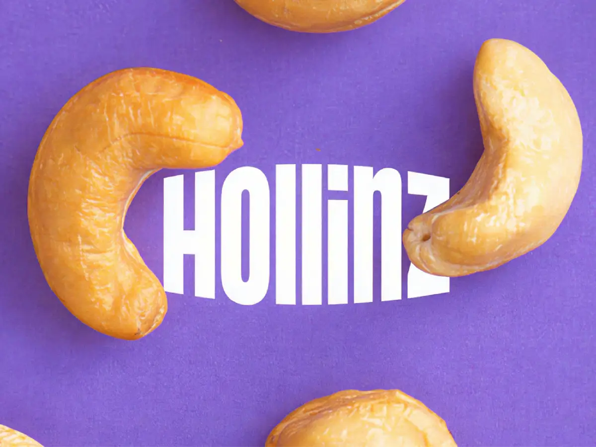 HOLLINZ